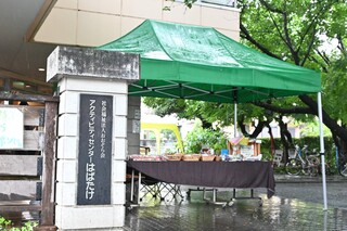 はばたけ
