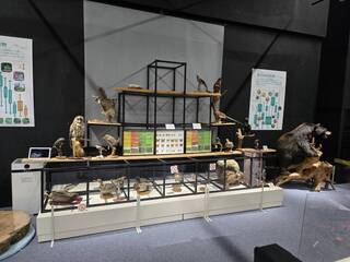 自然の中の生物たち 自然の中の生物たち